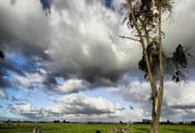 2024WTT福冈总决赛女单1／4决赛，王曼昱晋级4强人民日报微博.