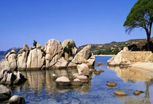 中国男子手球超级联赛迁安赛区收官.